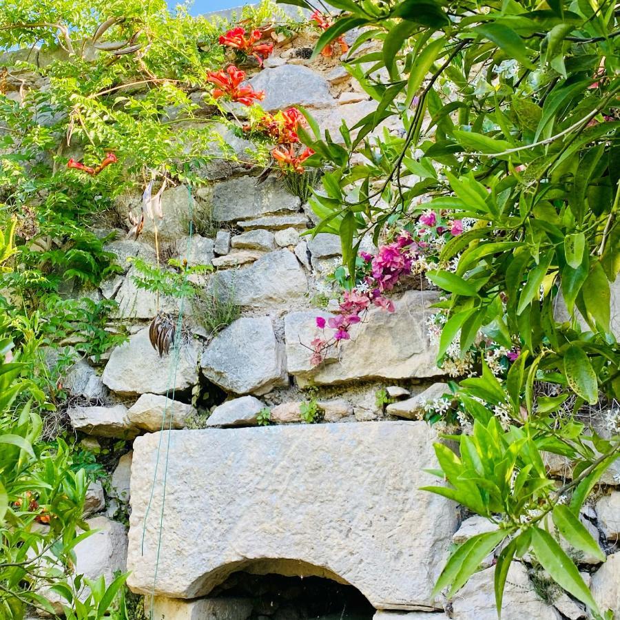 Villa In Gargano - Villa Basso Monte Sant'Angelo Ngoại thất bức ảnh